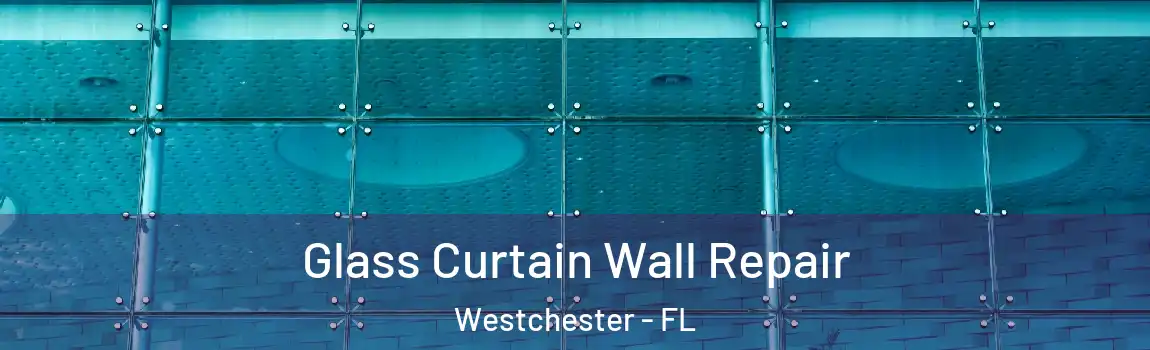  Glass Curtain Wall Repair Westchester - FL