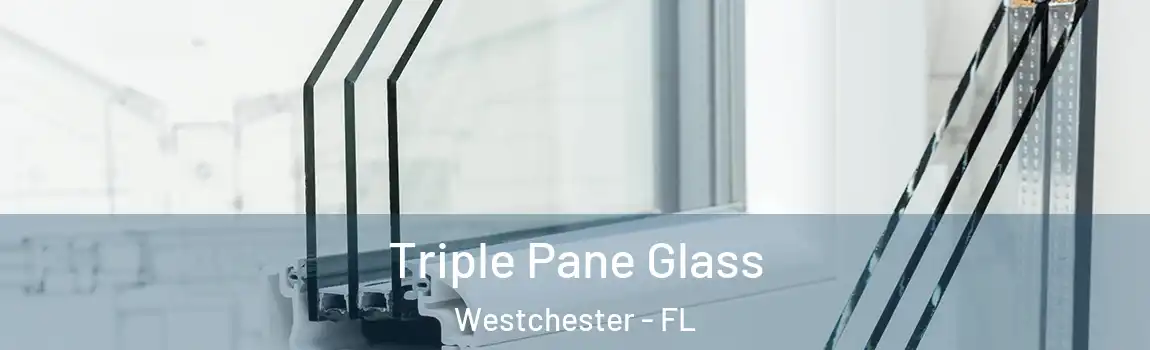 Triple Pane Glass Westchester - FL
