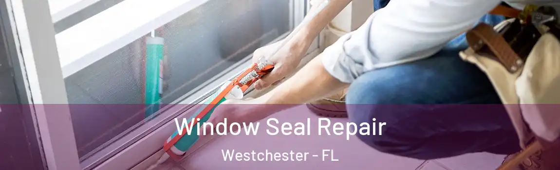  Window Seal Repair Westchester - FL